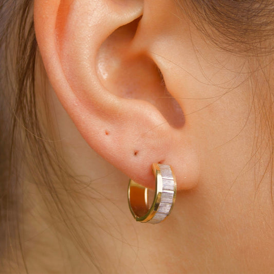Solid Gold "Horus" Hoop Earrings